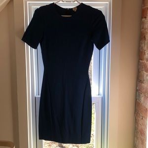 Wilfred Body Con Dress